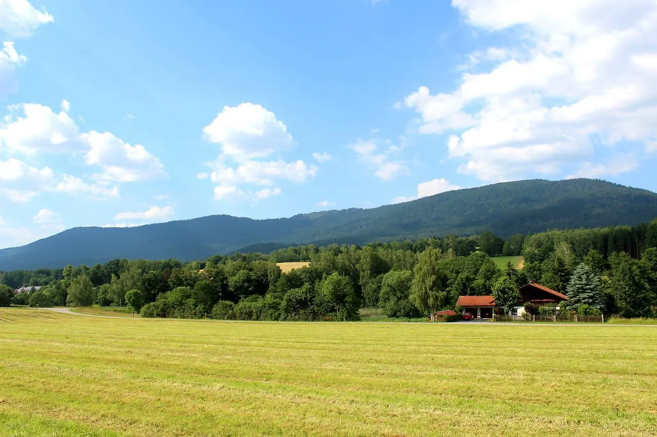 Ferienwohnung Hausladen Arnbruck Appartamento